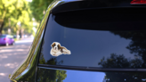 St. Bernard Puppy Sticker on a Rear Car Window (New) example