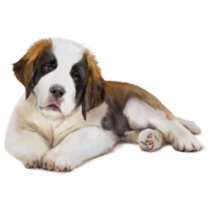 St. Bernard Puppy Sticker