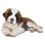 St. Bernard Puppy Sticker