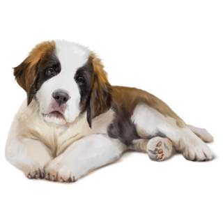 St. Bernard Puppy Sticker