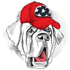 St. Bernard USA Sticker