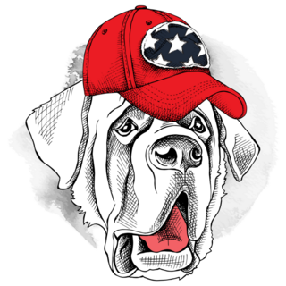 St. Bernard USA Sticker