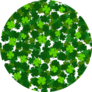 St Patricks Day Pattern Cartoon Green Clover Sticker