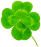 St. Patricks Day Symbol Lucky Shamrock Clover Sticker