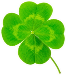 St. Patricks Day Symbol Lucky Shamrock Clover Sticker