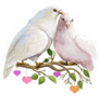 St. Valentines Day Doves Sitting On Branch With Leaves Sticker