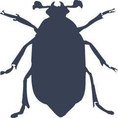 Stag Beetle Sticker
