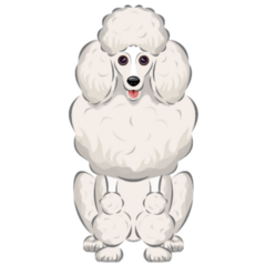 Standard Poodle Sticker