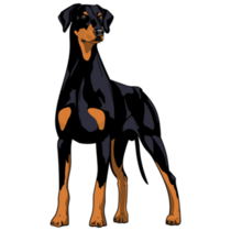 Standing Doberman Sticker