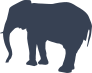 Standing Elephant Sticker