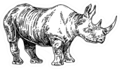 Standing  Large Rhino Sketch Sticker