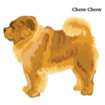Standing Profile Chow Sticker