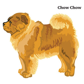 Standing Profile Chow Sticker