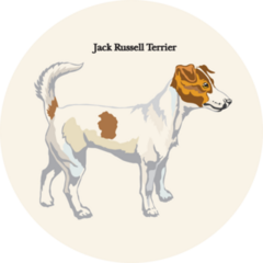 Standing Profile Terrier Sticker