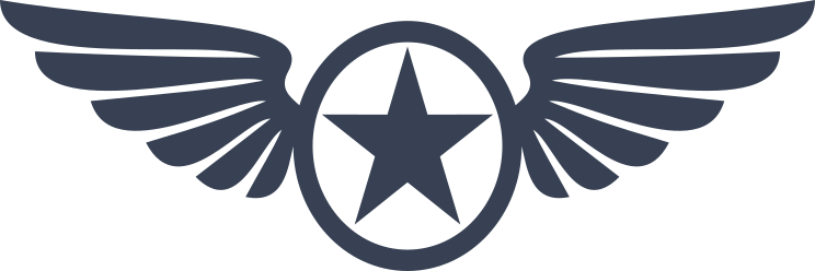 Star Inside Circle With Wings Sticker