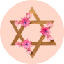 Star Of David In Flowers On Pink Sticker