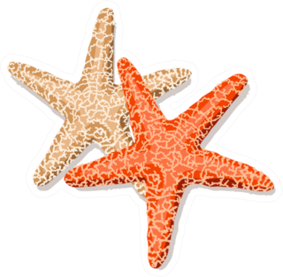 starfish Friends Isolated On White Sticker