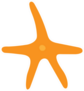 Starfish Gold Star Slim Sticker