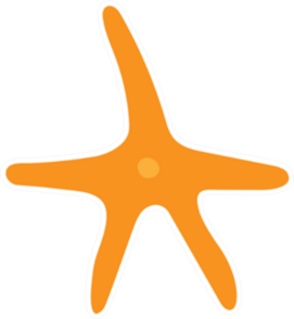 Starfish Gold Star Slim Sticker