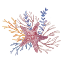 Starfish In Corals Sticker