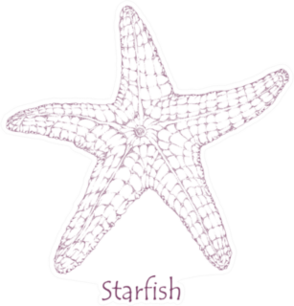 Starfish, Ink Sea Star Hand Drawn Sticker