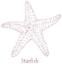 Starfish, Ink Sea Star Hand Drawn Sticker