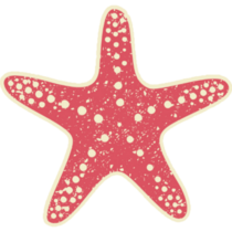 Starfish On Yellow Sticker