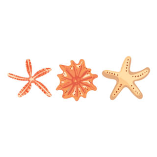 Starfish Trio Sticker
