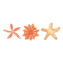 Starfish Trio Sticker