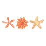 Starfish Trio Sticker