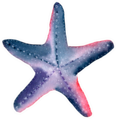 Starfish Watercolor Painting Pink & Purple Sticker