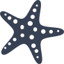 Starfish With Dots Sticker