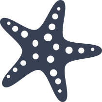 Starfish With Dots Sticker