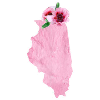 State Illinois In Pink Fur Floral Sticker