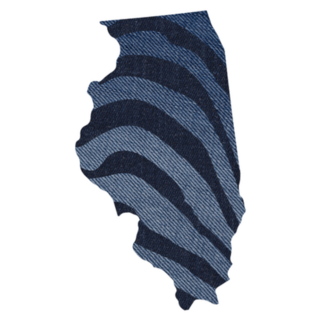 State Illinois Zebra Print Map Sticker