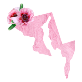 State Of Maryland Pink Floral Sticker