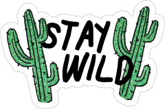 Stay Wild Cactus Sticker