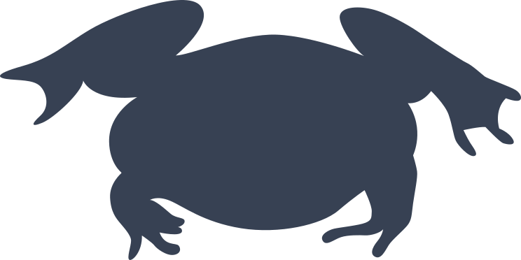 Steady Frog Toad Sticker