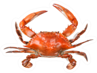 Steamed Blue Crab Sticker