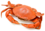 Steamed Crab On White Background Sticker