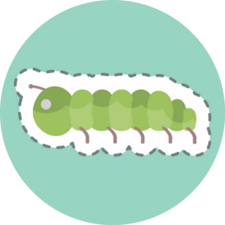 Sticker Line Cut Caterpillar Sticker