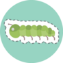 Sticker Line Cut Caterpillar Sticker