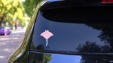Stingray Adorable Pink Smiling Sticker on a Rear Car Window (New) example
