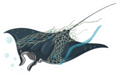 Stingray And Plastic Net On White Background Illustration Sticker