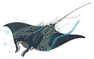 Stingray And Plastic Net On White Background Illustration Sticker