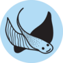 Stingray Doodle Line Icon On Blue Sticker