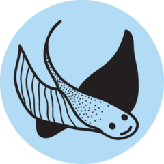 Stingray Doodle Line Icon On Blue Sticker