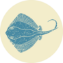 Stingray Fish In Retro Style Sticker