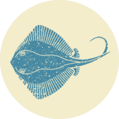 Stingray Fish In Retro Style Sticker