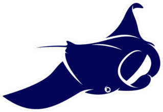 Stingray Logo Design Navy Blue Sticker